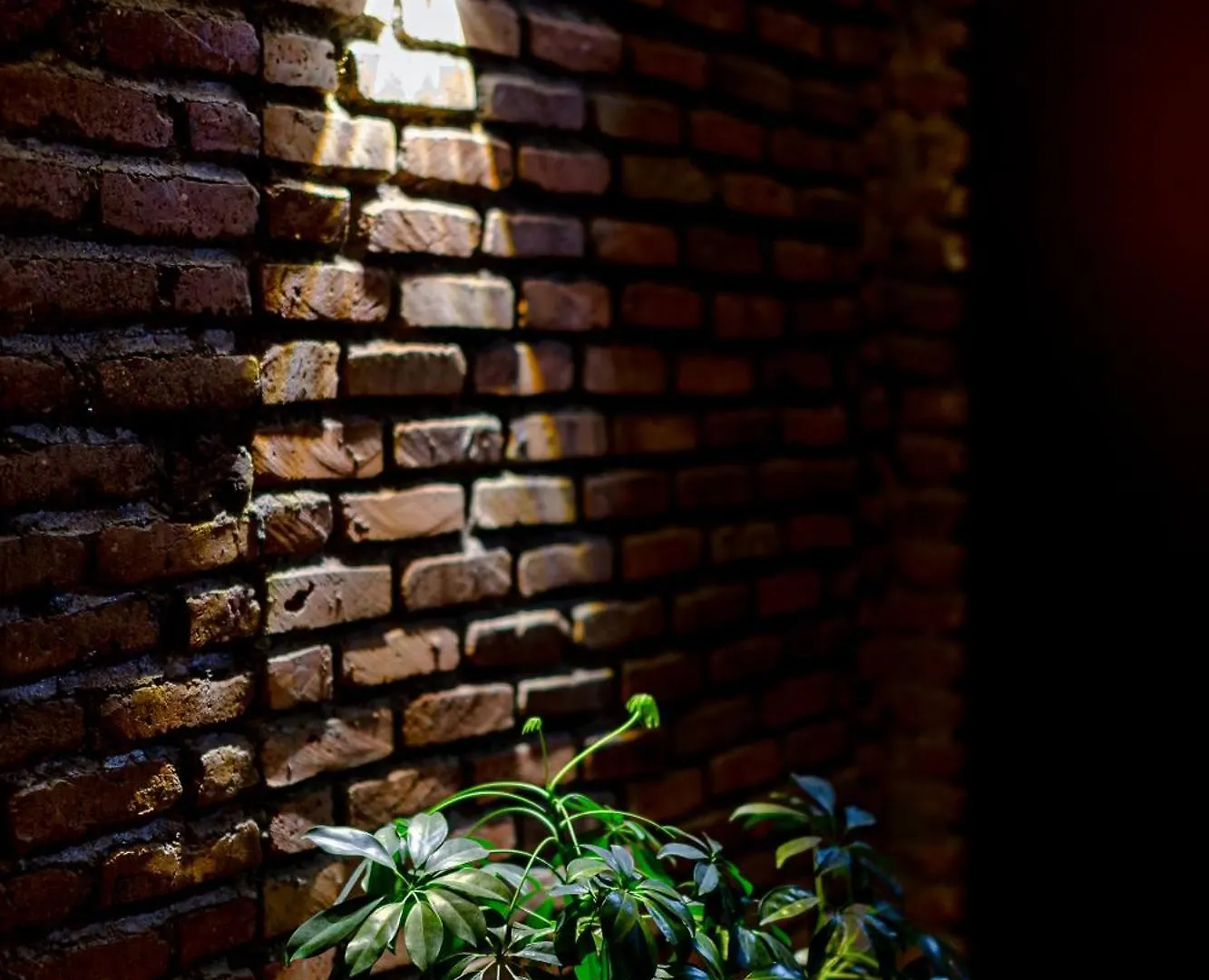Ethnograph Hotel Old Tbilisi